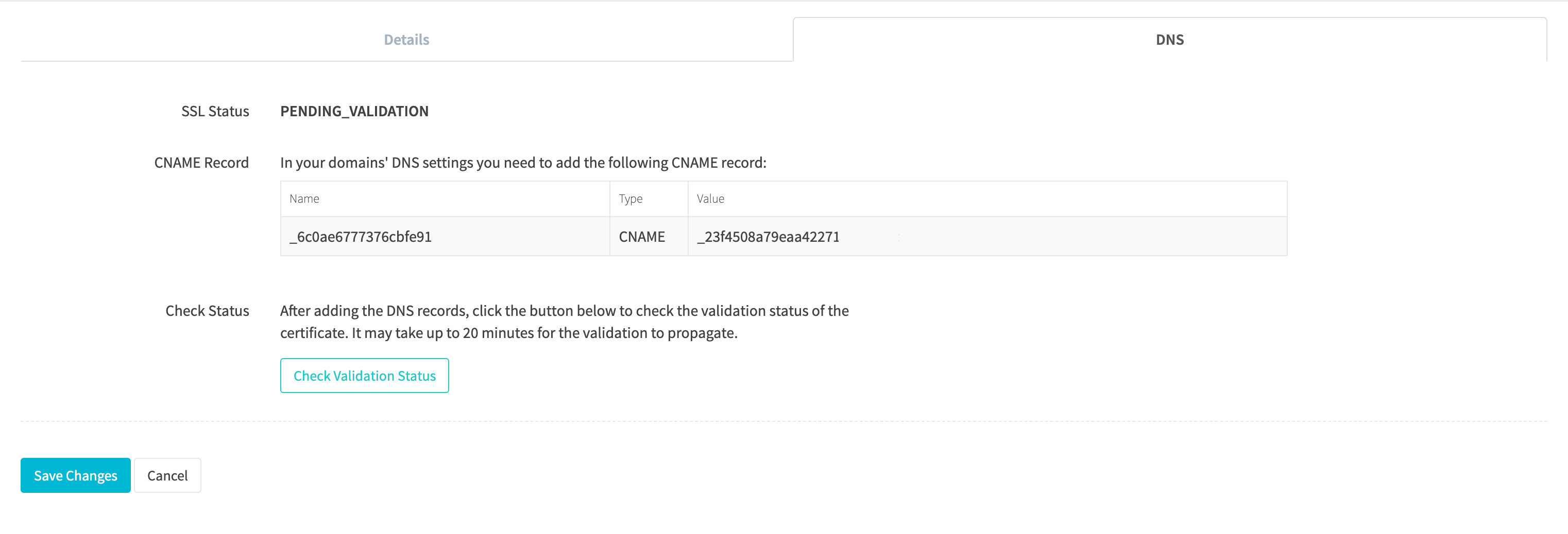 Edit tracking domain DNS pending validation