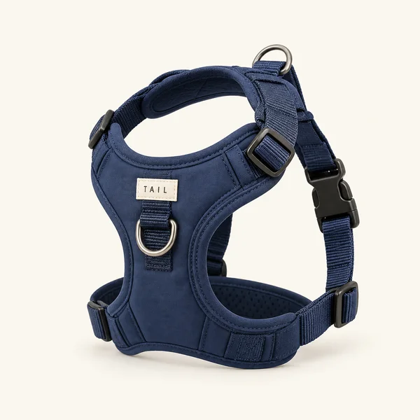 TAIL indigo walking harness